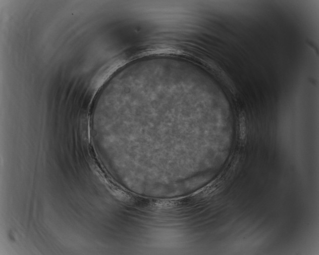 X0000103311274200809261328