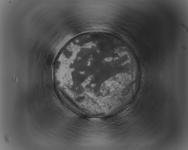 X0000103311275200809261328