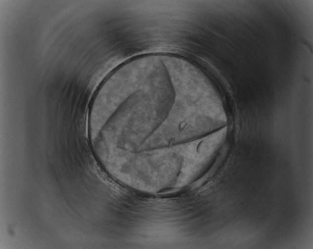 X0000103311276200809261328