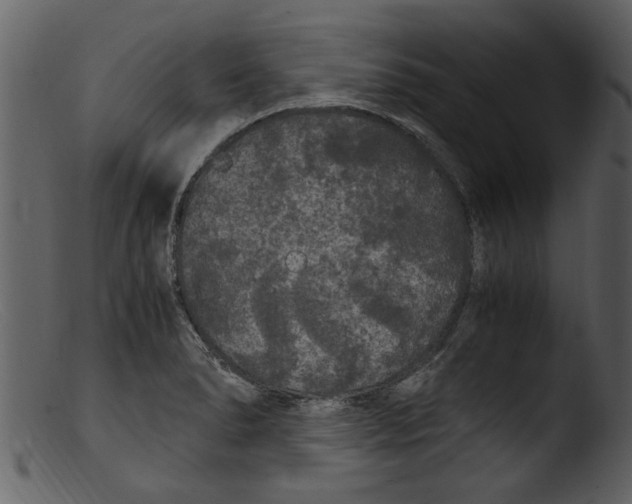 X0000103311278200809261328