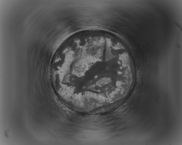 X0000103311279200809261328