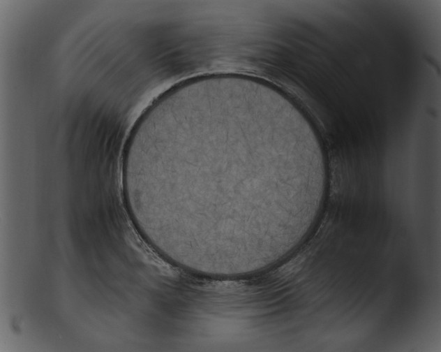 X0000103311280200809261328