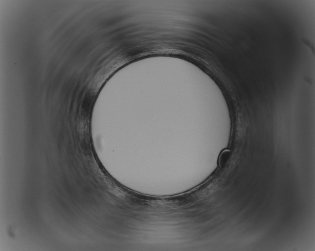 X0000103311281200809261328