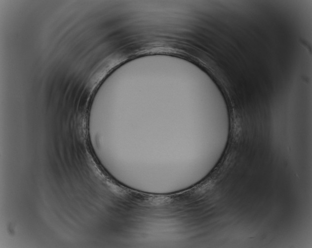 X0000103311282200809261328