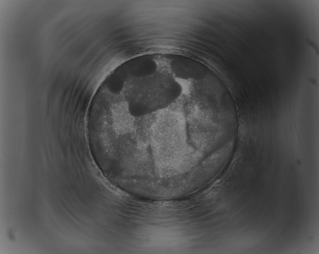 X0000103311283200809261328