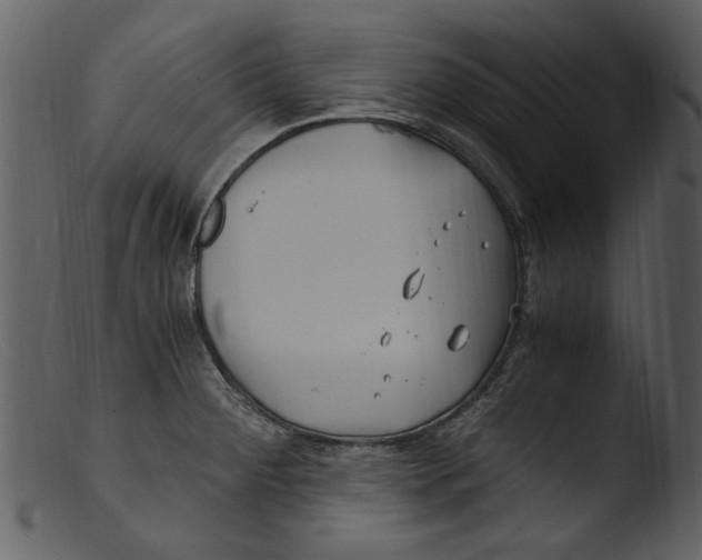 X0000103311284200809261328