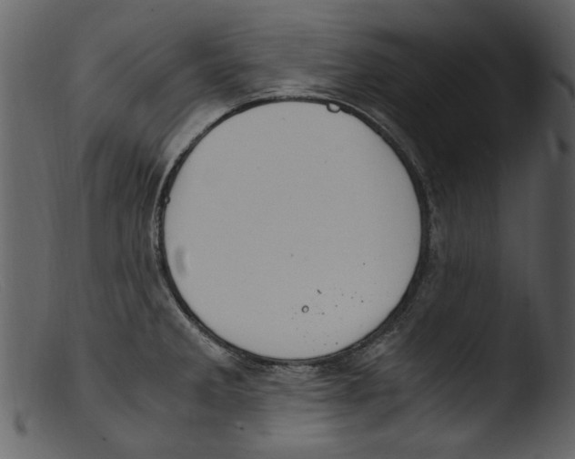 X0000103311285200809261328