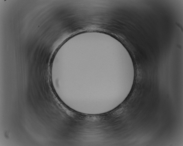 X0000103311286200809261328