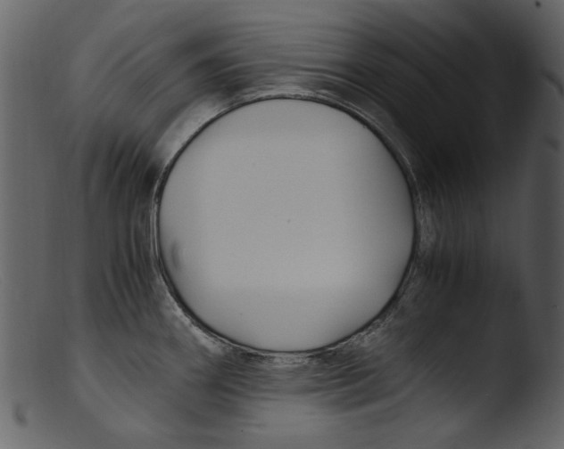 X0000103311290200809261328