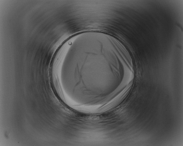 X0000103311291200809261328