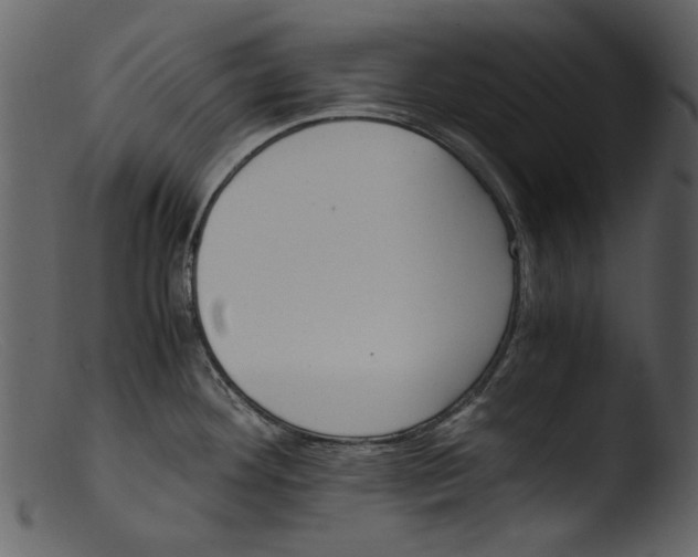 X0000103311292200809261328