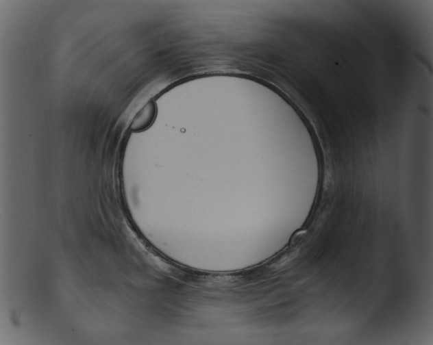 X0000103311293200809261328