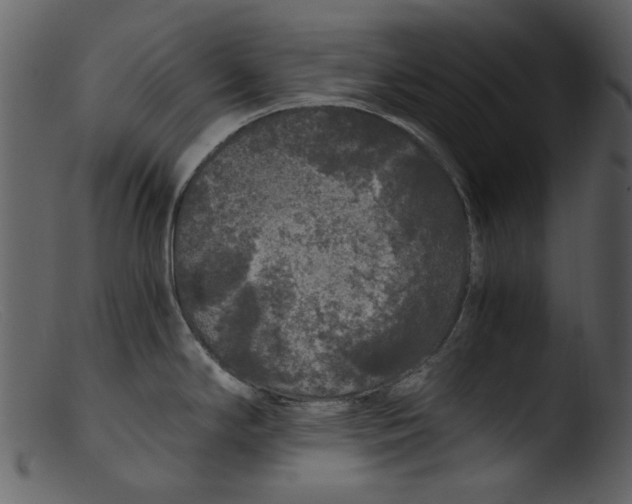 X0000103311294200809261328