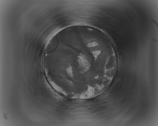 X0000103311295200809261328