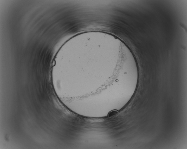 X0000103311296200809261328