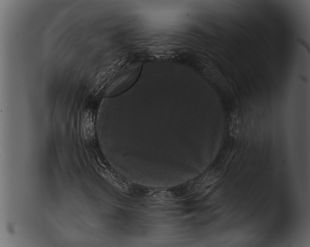 X0000103311298200809261327