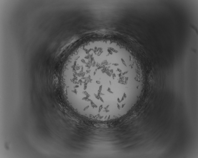 X0000103311302200809261327