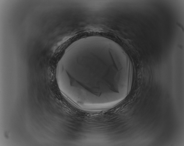 X0000103311303200809261327