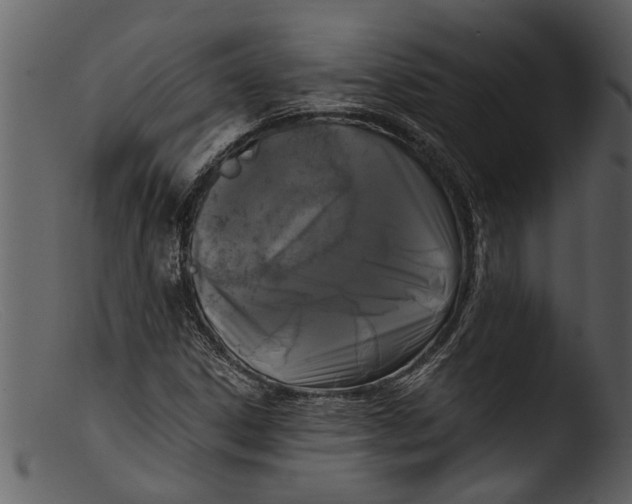 X0000103311306200809261327