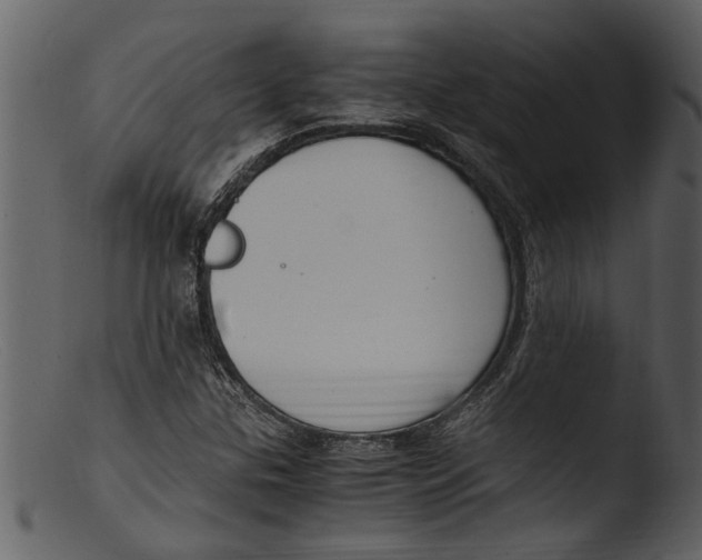 X0000103311307200809261327