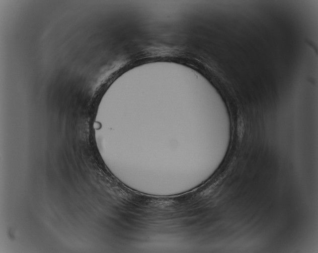 X0000103311309200809261327