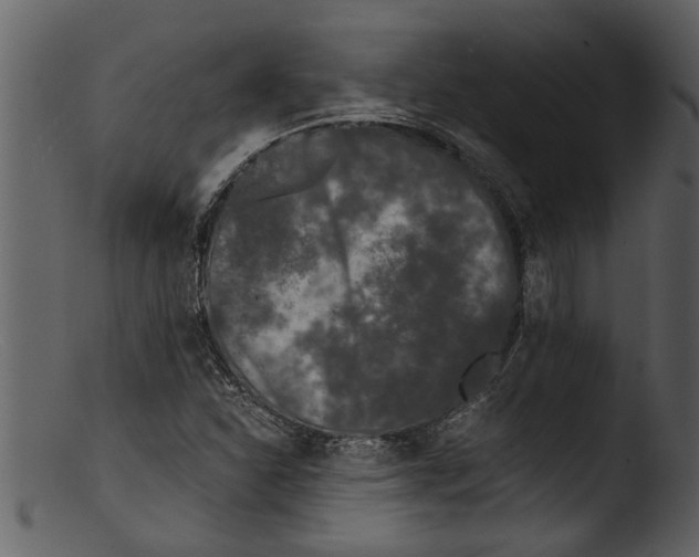 X0000103311310200809261327