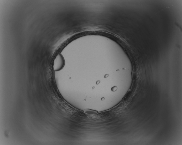 X0000103311311200809261327