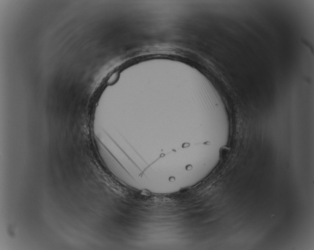 X0000103311312200809261327