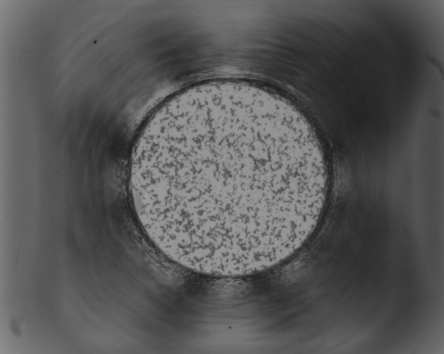 X0000103311314200809261327