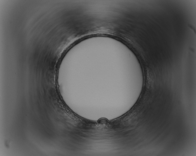 X0000103311316200809261327