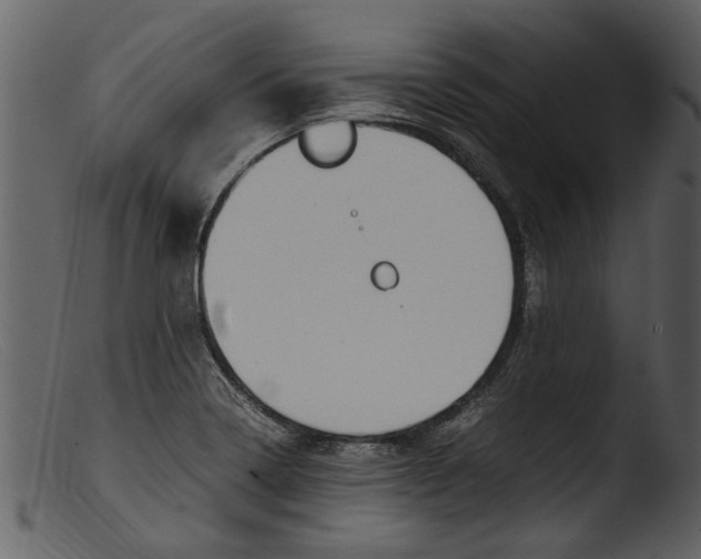 X0000103311322200809261327