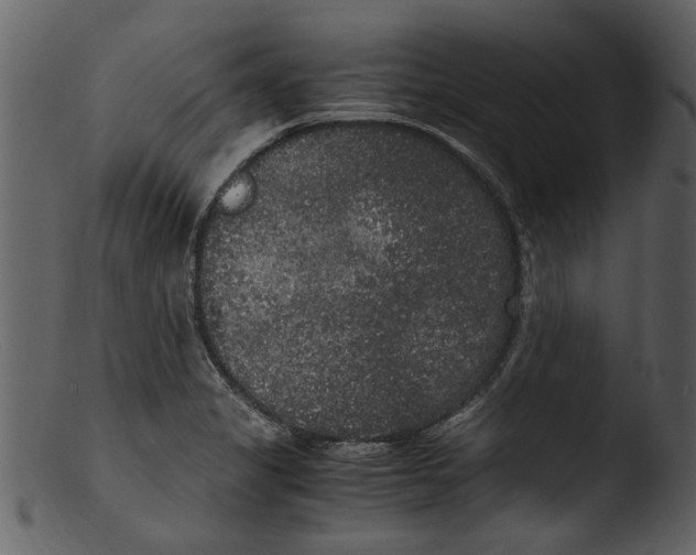 X0000103311325200809261327