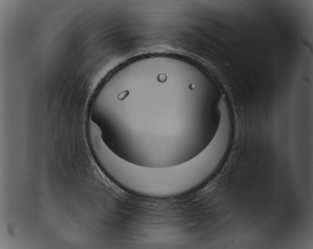 X0000103311326200809261328