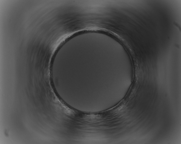 X0000103311327200809261328