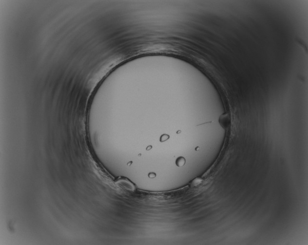 X0000103311330200809261328