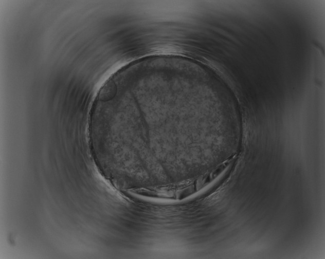 X0000103311331200809261328