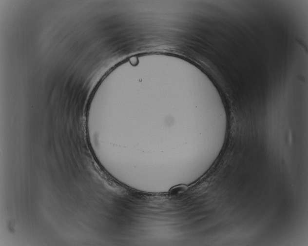 X0000103311332200809261328