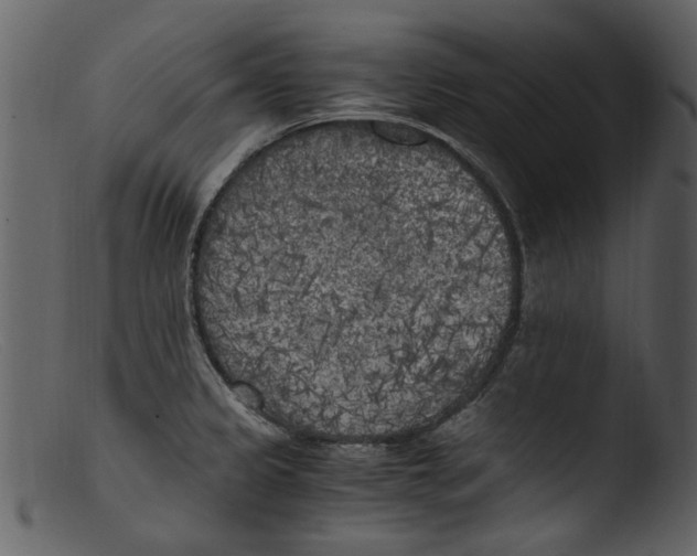 X0000103311333200809261328