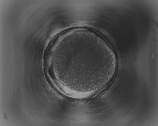 X0000103311334200809261328