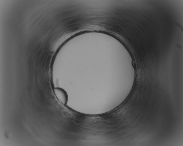 X0000103311335200809261328