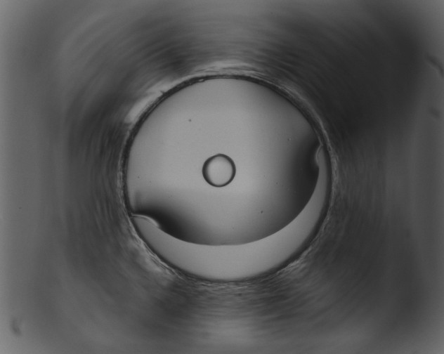 X0000103311336200809261328