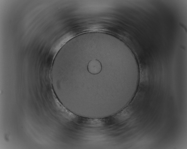 X0000103311338200809261328