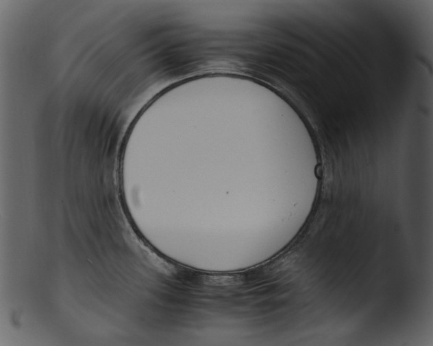 X0000103311339200809261328