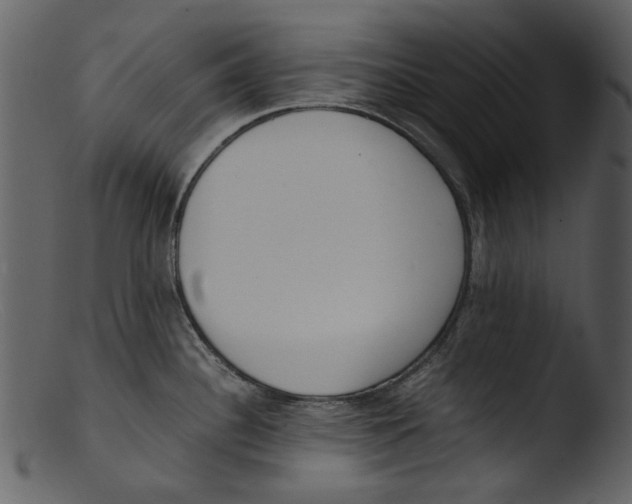 X0000103311340200809261328