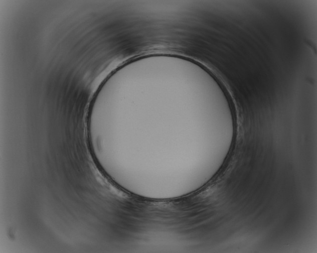 X0000103311341200809261328