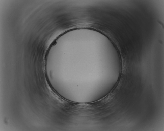 X0000103311342200809261328