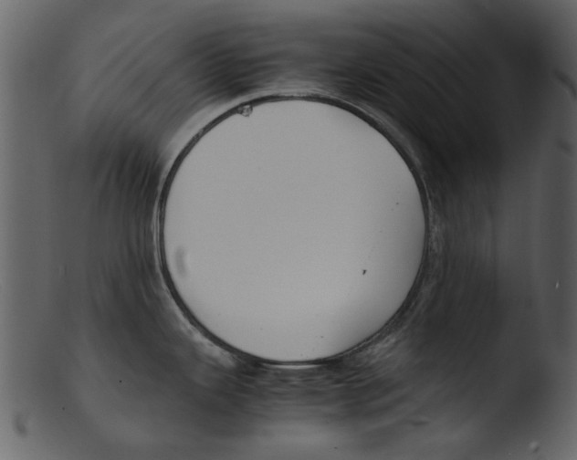 X0000103311343200809261328