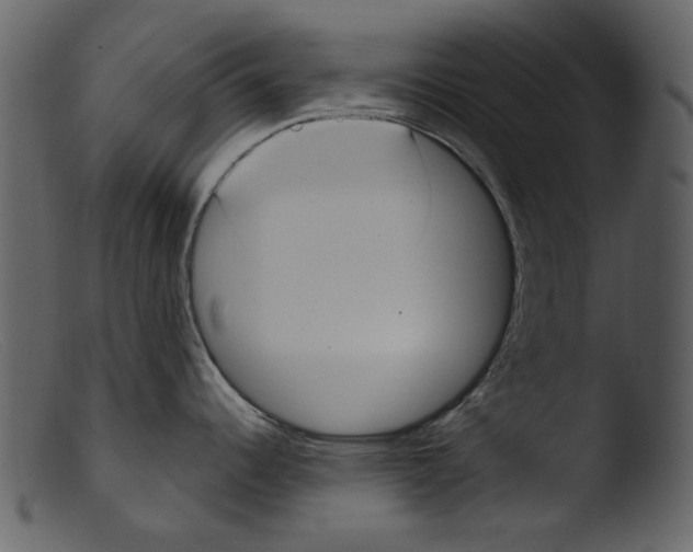 X0000103311344200809261328