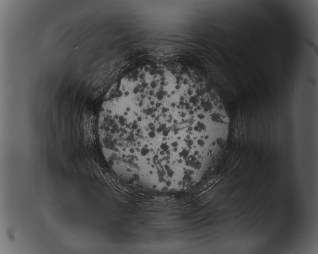 X0000103311346200809261327