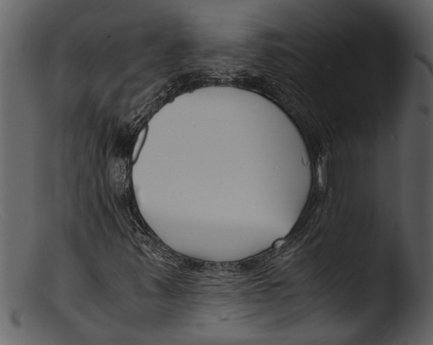 X0000103311347200809261327